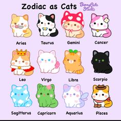 zodiacs as cats in different colors and sizes on a pink background with the caption zodiac