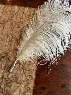 a white feather laying on top of a wooden table