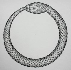 a black and white drawing of a snake's head in a circular shape on paper