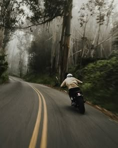 a person riding a motorcycle down a road in the woods on a foggy day