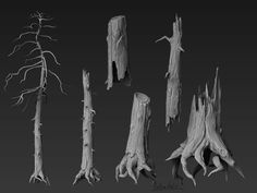 several different types of tree trunks and branches