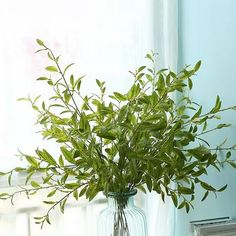 a vase filled with lots of green leaves on top of a table next to a window