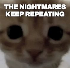 a blurry image of a cat's face with the words, the nightmares keep repeating