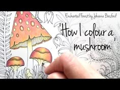 a hand holding up a coloring book with mushrooms on the cover and words below it