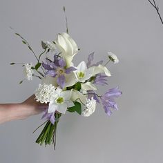 a hand holding a bouquet of flowers on a gray background with white and purple colors