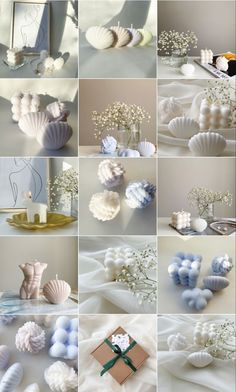 many different pictures of seashells and flowers