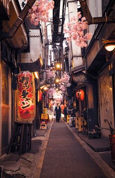 a narrow alley with cherry blossom trees lining the sides and people walking on the other side