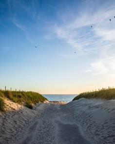 a sandy path leading to the beach at sunset