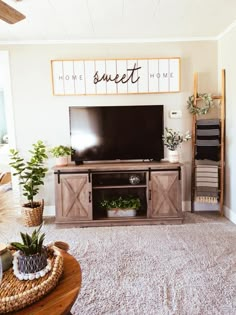 a living room filled with furniture and a flat screen tv on top of a wooden stand