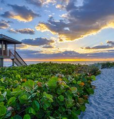 a house on the beach at sunset with clouds in the sky and green plants growing out of the sand