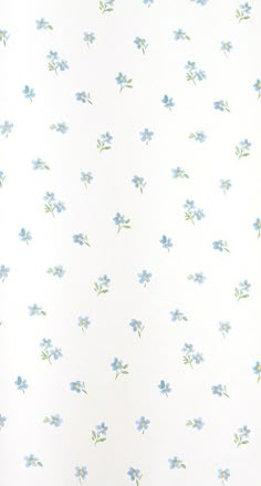 a white wall with blue flowers on it