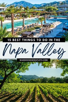 napn valley winery with the words 15 best things to do in napn valley