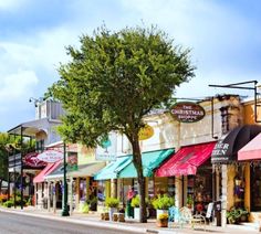 an empty street lined with shops and trees