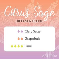 “Just to CLARYify- this blend is not potent and strikes a great balance between the herbaceous scent of Clary Sage and the bright sweetness of Lime and…” Doterra Diffuser, Doterra Diffuser Blends, Clary Sage Essential Oil, Sage Essential Oil, Essential Oil Diffuser Recipes, Oil Diffuser Recipes, Yl Essential Oils, Citrus Essential Oil