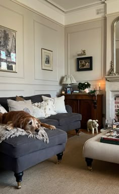 a dog laying on top of a couch in a living room next to a fire place