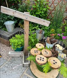 several wooden slices with holes in them are arranged on a table surrounded by plants and pine cones