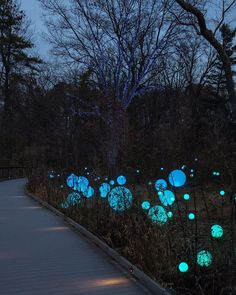 glow orbs in the grass near a wooden walkway at night with trees and lights behind them