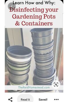 photo of stacks of black plastic plant pots with text overlay Learn How and Why: Disinfecting your Gardening Pots and Containers Gardening Pots, Starting Seeds, Tomato Seedlings, Vegetable Garden Tips, Seedling Pots, Food Gardening, Seed Pots, Planting Pots, Planting Pot