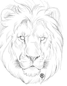 a drawing of a lion's face