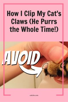 a person holding a cat's paw with the words how i clip my cat's claws she purrs the whole time