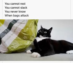 a black and white cat laying on the floor next to a bag that says, you cannot rest you cannot slack you never know when bags attack