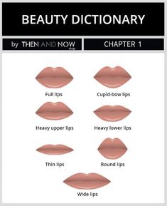 Types Of Lips Shape, Different Lip Shapes, Bow Lips, Cupids Bow Lips, Fashion Illustration Hair, Thick Lips, Draw Lips, Dairy Free Breastfeeding, Lip Types