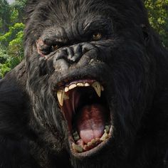 an angry looking gorilla with its mouth open