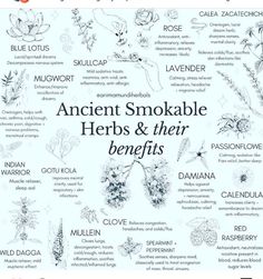 Herbs And Their Benefits, Smokable Herbs, Spells Magic, Magickal Herbs, Medical Herbs, Magical Herbs, Herbal Apothecary