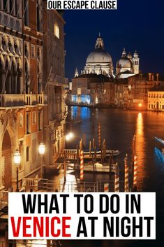 the cover of what to do in venice at night