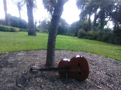 an acoustic guitar is propped up against a tree