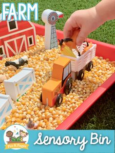 a child playing with farm toys in a play tray filled with corn and corn kernels