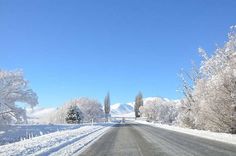 snow covered trees line the side of a road