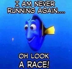 an image of a blue fish with caption that reads, i am never running again oh look a race