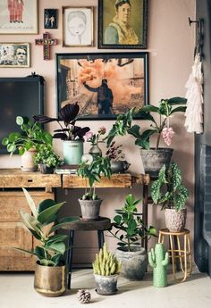 there are many potted plants on the table in front of the fireplace and pictures