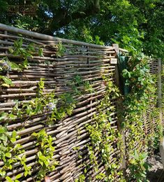 a wooden fence with plants growing on it