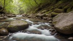 A Depiction Of A Beautifully Symmetrical Stream In A Forest With Rocks And Trees AI Generative stock image Summer Landscape, Forest, Beauty