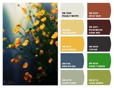 some yellow flowers are in the middle of color swatches for different colors and sizes