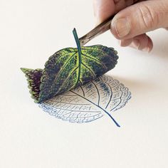 someone is drawing a leaf with colored pencils