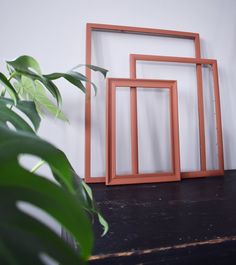 three frames sitting on top of a table next to a plant