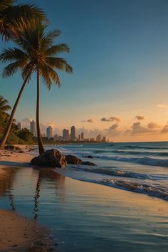 10 Must-Visit Destinations in Florida Manifesting Travel, Manifesting Positivity, Usa Life, Florida Getaway, Florida Pictures, Vacation 2024, Vision Book