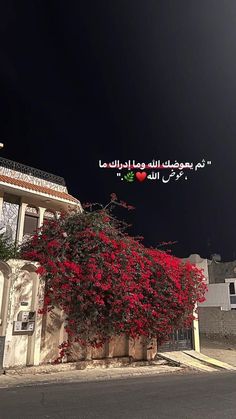 a red flowering bush on the side of a building in front of a dark sky