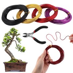 various types of wire being used to make a bonsai tree