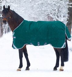 a brown horse wearing a green and white blanket standing in the snow with trees behind it