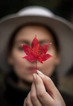 a woman holding a red leaf in front of her face