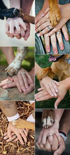 many different pictures of people holding hands with their dog's paws on them