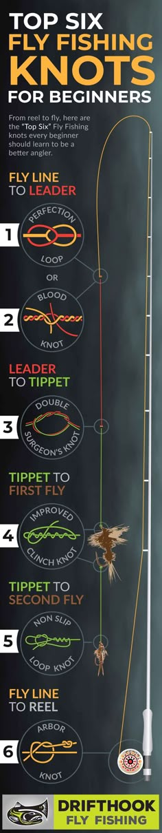 the top six fishing lines for beginners infographical poster with information about their rigs