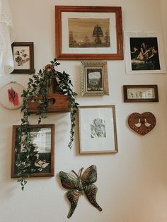 there are many framed pictures on the wall with some plants growing out of them,