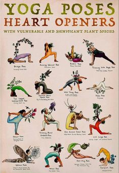 an old poster shows yoga poses for heart openers with vuntrable and significant plant species