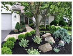 landscaping in front of a house with rocks and trees