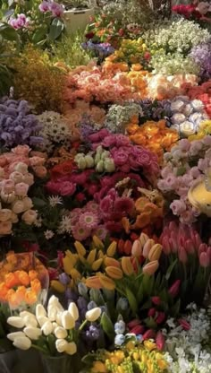 an assortment of colorful flowers are arranged in rows and on display at a flower shop